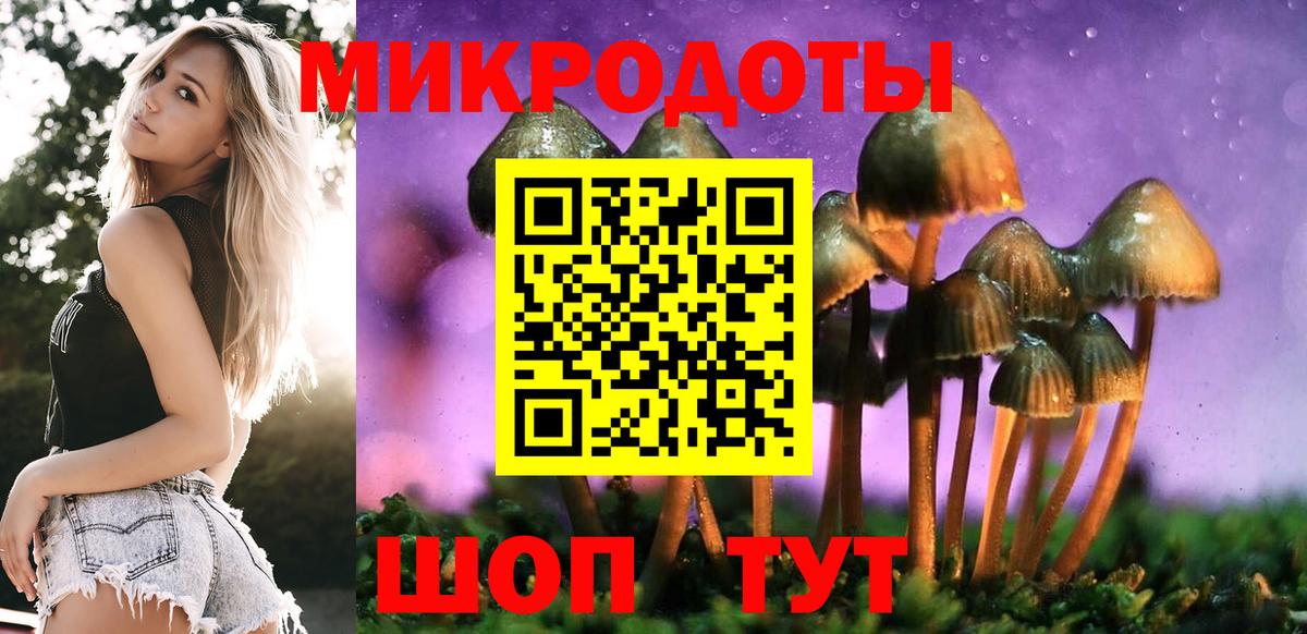 Аша  Псилоцибиновые грибы ЛСД  Вход с VPN  Галлюциногенные грибы Psilocybe 